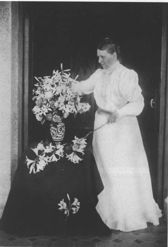 Иллюстрация к книге — Софья Толстая [img_39.jpg]