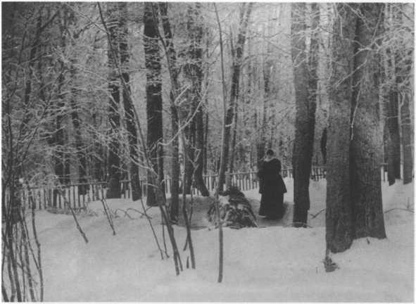 Иллюстрация к книге — Софья Толстая [img_48.jpg]