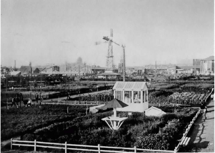 Иллюстрация к книге — Олтаржевский [i_015.jpg]