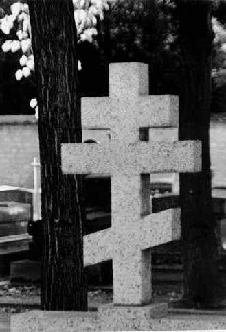 Иллюстрация к книге — Здесь шумят чужие города, или Великий эксперимент негативной селекции [i_048.jpg]