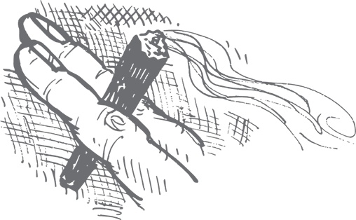 Иллюстрация к книге — Кухня. Записки повара [i_017.jpg]