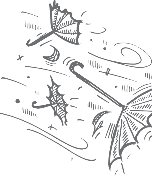 Иллюстрация к книге — Кухня. Записки повара [i_041.jpg]