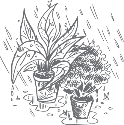 Иллюстрация к книге — Кухня. Записки повара [i_050.jpg]