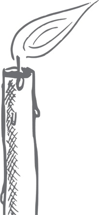 Иллюстрация к книге — Кухня. Записки повара [i_071.jpg]