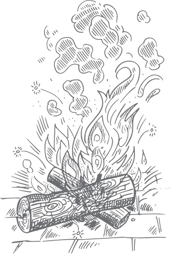 Иллюстрация к книге — Кухня. Записки повара [i_091.jpg]