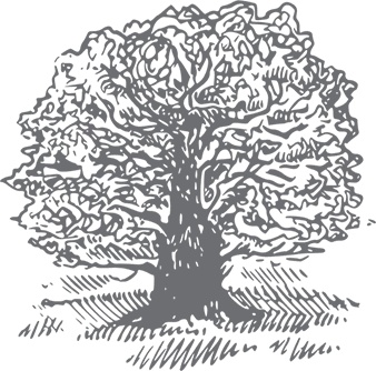 Иллюстрация к книге — Кухня. Записки повара [i_094.jpg]