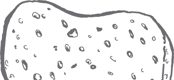 Иллюстрация к книге — Кухня. Записки повара [i_095.jpg]