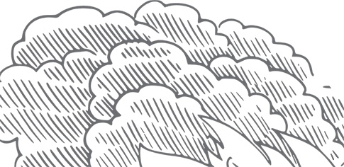 Иллюстрация к книге — Кухня. Записки повара [i_107.jpg]