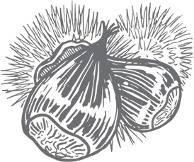 Иллюстрация к книге — Кухня. Записки повара [i_118.jpg]