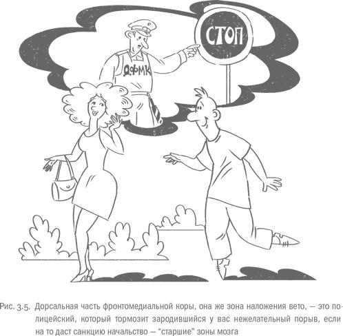 Иллюстрация к книге — Воля и самоконтроль. Как гены и мозг мешают нам бороться с соблазнами [i_015.jpg]