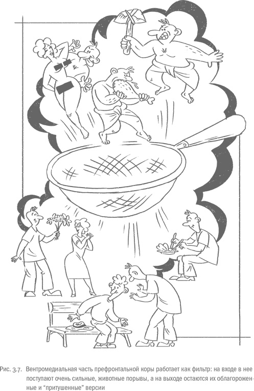 Иллюстрация к книге — Воля и самоконтроль. Как гены и мозг мешают нам бороться с соблазнами [i_017.jpg]