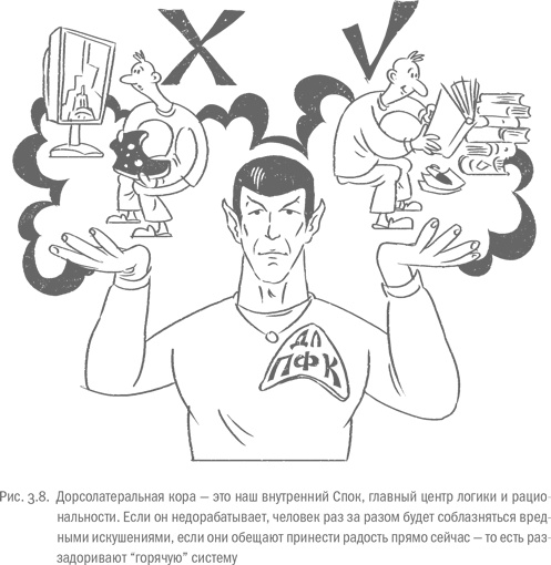 Иллюстрация к книге — Воля и самоконтроль. Как гены и мозг мешают нам бороться с соблазнами [i_018.jpg]