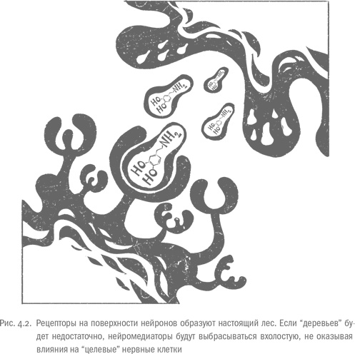 Иллюстрация к книге — Воля и самоконтроль. Как гены и мозг мешают нам бороться с соблазнами [i_029.jpg]