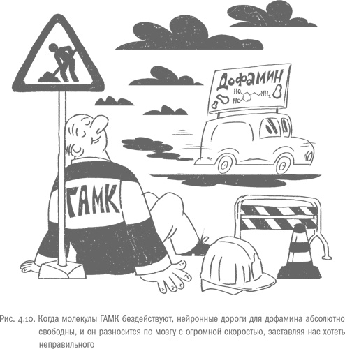 Иллюстрация к книге — Воля и самоконтроль. Как гены и мозг мешают нам бороться с соблазнами [i_038.jpg]