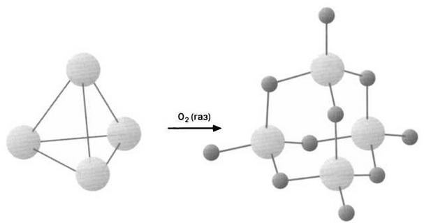 Иллюстрация к книге — Журнал &quot;Наука. Величайшие теории&quot; №29 [img_11.jpg]