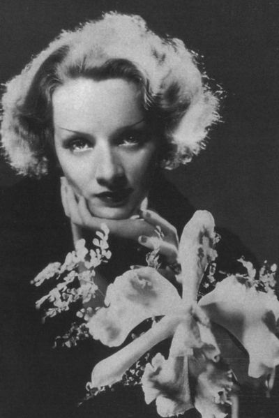 Иллюстрация к книге — Марлен Дитрих [i_030.jpg]