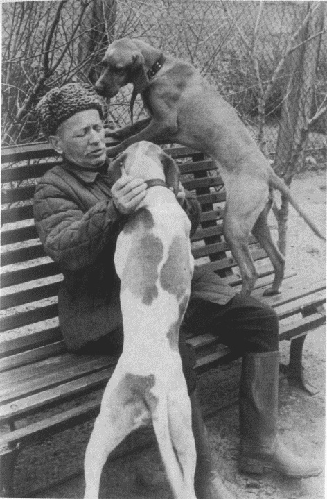 Иллюстрация к книге — Шолохов [i_058.jpg]