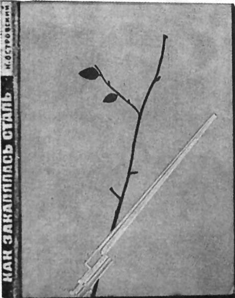 Иллюстрация к книге — Жизнь - Подвиг Николая Островского [i_002.jpg]