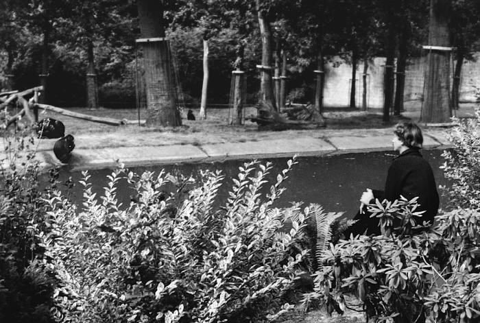 Иллюстрация к книге — Парадокc власти. Как обретают и теряют влияние [_055.jpg]