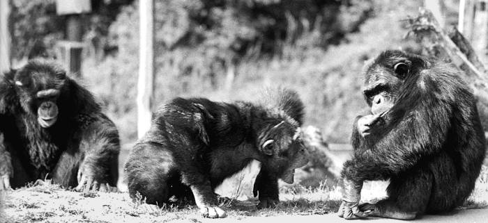 Иллюстрация к книге — Парадокc власти. Как обретают и теряют влияние [_055_2.jpg]