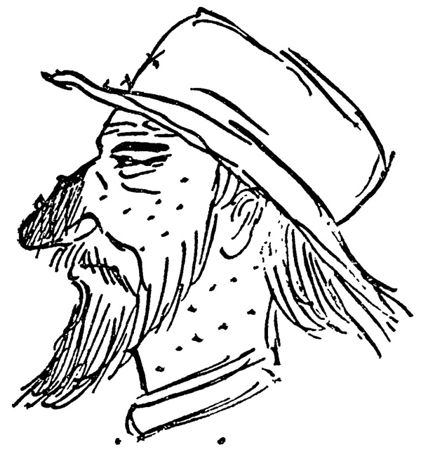 Иллюстрация к книге — Тургенев и Виардо. Я все еще люблю... [_137.jpg]