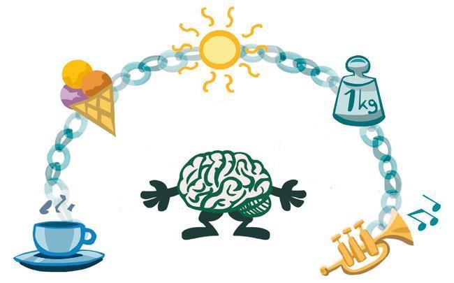 Иллюстрация к книге — Minne, или Память по-шведски. Методика знаменитого тренера по развитию памяти [i_058.jpg]