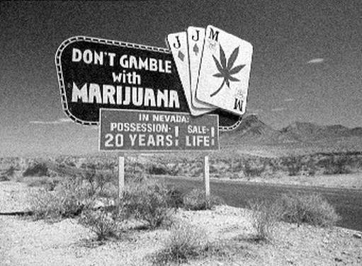 Иллюстрация к книге — Режиссеры настоящего. В 2 томах. Том 1. Визионеры и мегаломаны [i_054.jpg]