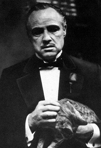 Иллюстрация к книге — Режиссеры настоящего. В 2 томах. Том 1. Визионеры и мегаломаны [i_084.jpg]