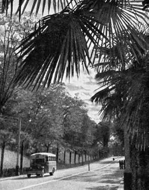 Иллюстрация к книге — Я пытаюсь восстановить черты [_53.jpg]