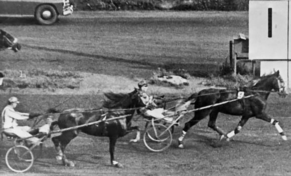 Иллюстрация к книге — Я пытаюсь восстановить черты [_61.jpg]