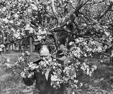 Иллюстрация к книге — Я пытаюсь восстановить черты [_71.jpg]