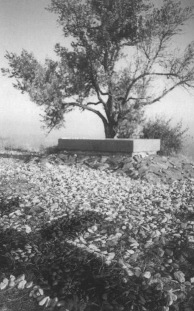 Иллюстрация к книге — Максимилиан Волошин, или Себя забывший Бог [i_076.jpg]