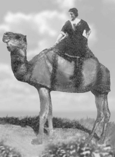 Иллюстрация к книге — Лариса Рейснер [i_044.jpg]