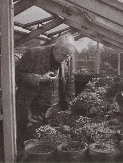 Иллюстрация к книге — Толкин [i_046.jpg]