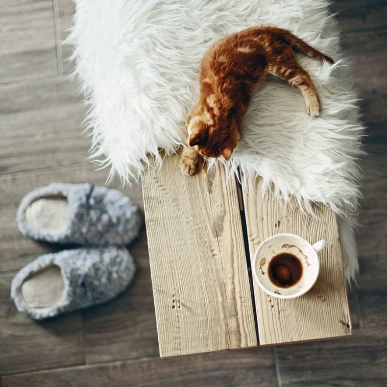 Иллюстрация к книге — Счастье по хюгге, или добавь в свою жизнь немного волшебства [i_025.jpg]