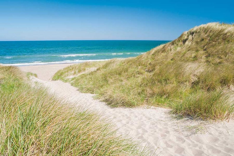 Иллюстрация к книге — Счастье по хюгге, или добавь в свою жизнь немного волшебства [i_026.jpg]