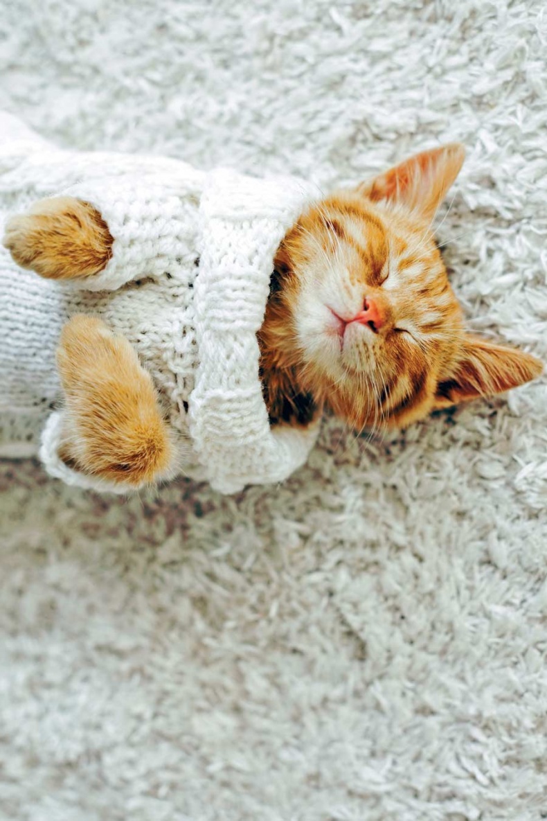 Иллюстрация к книге — Счастье по хюгге, или добавь в свою жизнь немного волшебства [i_042.jpg]