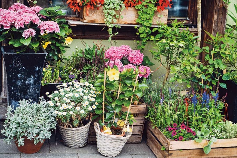 Иллюстрация к книге — Счастье по хюгге, или добавь в свою жизнь немного волшебства [i_047.jpg]