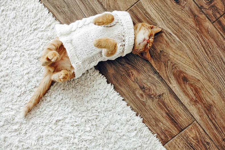 Иллюстрация к книге — Счастье по хюгге, или добавь в свою жизнь немного волшебства [i_050.jpg]