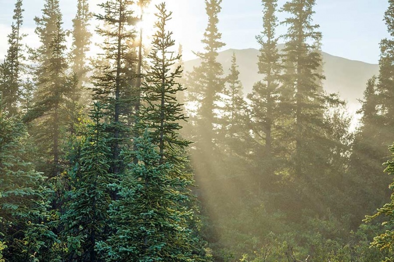 Иллюстрация к книге — Счастье по хюгге, или добавь в свою жизнь немного волшебства [i_091.jpg]