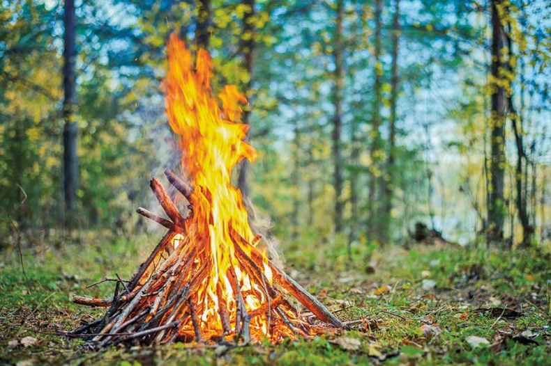 Иллюстрация к книге — Счастье по хюгге, или добавь в свою жизнь немного волшебства [i_096.jpg]