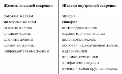 Иллюстрация к книге — Учение о выживании [i_009.jpg]