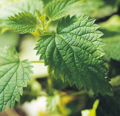 Иллюстрация к книге — Лагом. Шведские секреты счастливой жизни [i_014.jpg]