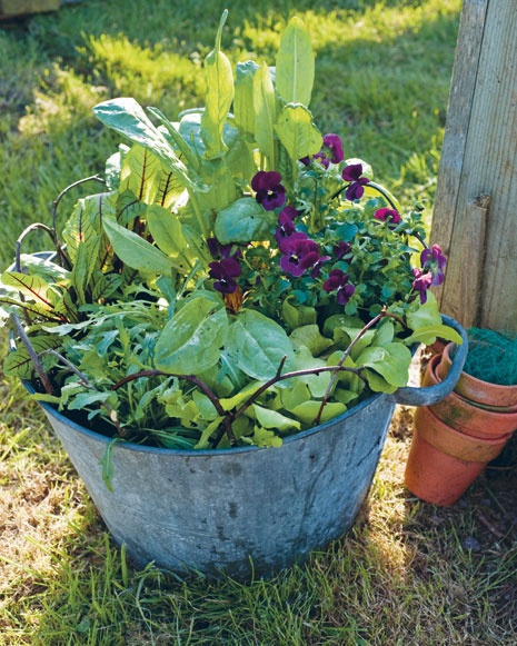 Иллюстрация к книге — Лагом. Шведские секреты счастливой жизни [i_015.jpg]