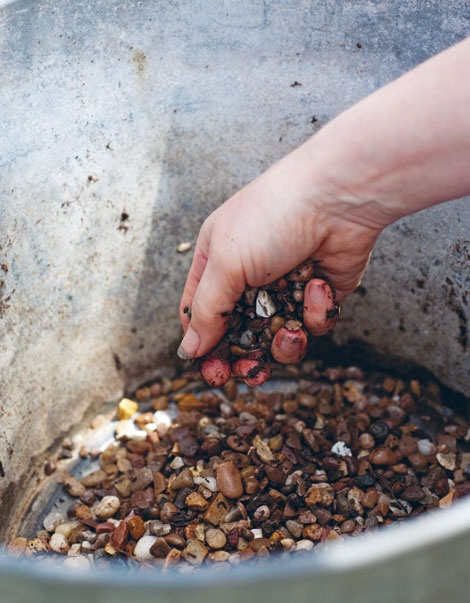 Иллюстрация к книге — Лагом. Шведские секреты счастливой жизни [i_018.jpg]