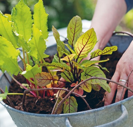 Иллюстрация к книге — Лагом. Шведские секреты счастливой жизни [i_023.jpg]