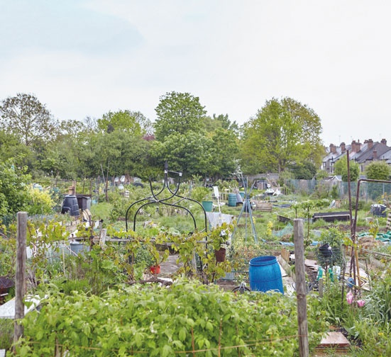 Иллюстрация к книге — Лагом. Шведские секреты счастливой жизни [i_026.jpg]