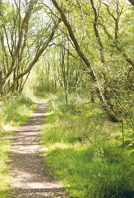 Иллюстрация к книге — Лагом. Шведские секреты счастливой жизни [i_046.jpg]