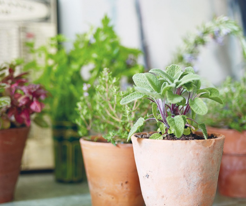 Иллюстрация к книге — Лагом. Шведские секреты счастливой жизни [i_051.jpg]