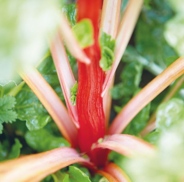 Иллюстрация к книге — Лагом. Шведские секреты счастливой жизни [i_055.jpg]